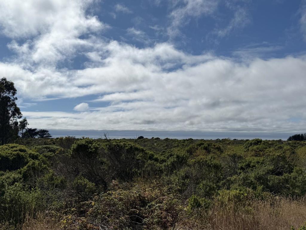 Sale includes two APN's at 4993 sq ft totaling 9,986 sq ft - Currently 2 parcels APN's 065-184-130 and 065-184-140 Great possible home site to build on in beautiful Half Moon Bay. Unpaved cross street off Redondo Beach Rd. - Beach access off Redondo Beach Rd.