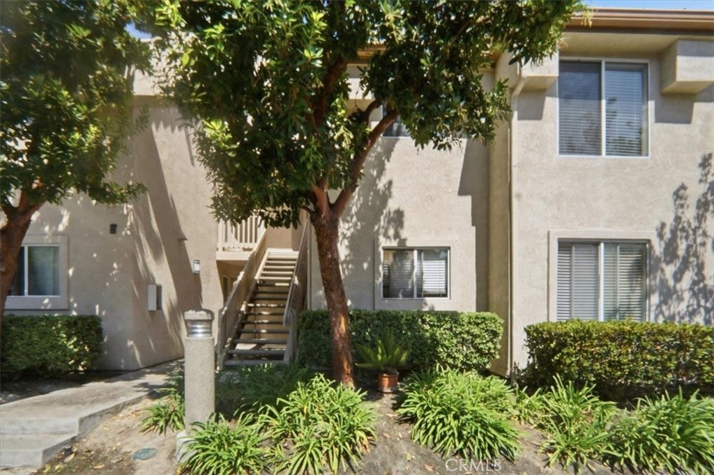 26342 Forest Ridge