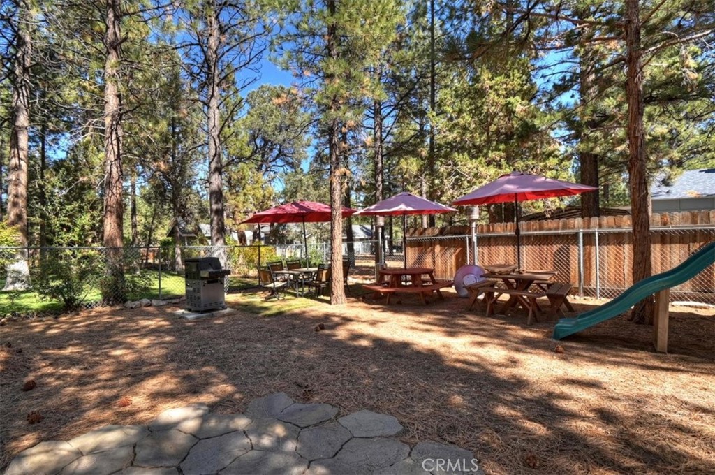 1064 Pine