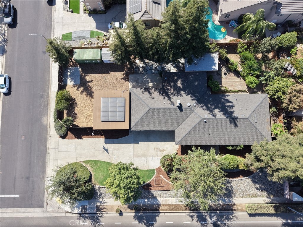 1391 Birch