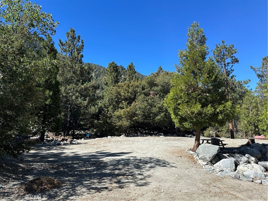 41385 Alder Drive