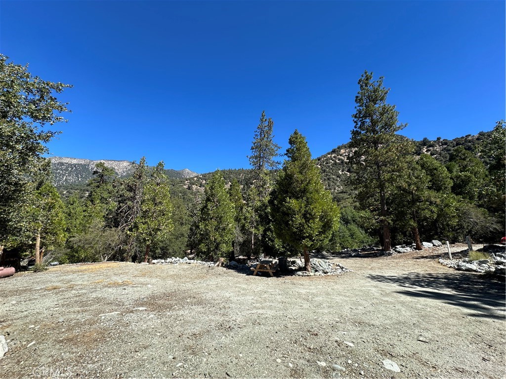 41385 Alder Drive