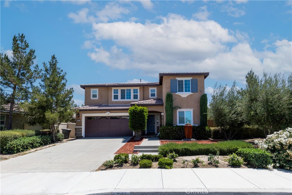 691 Black Cherry Street