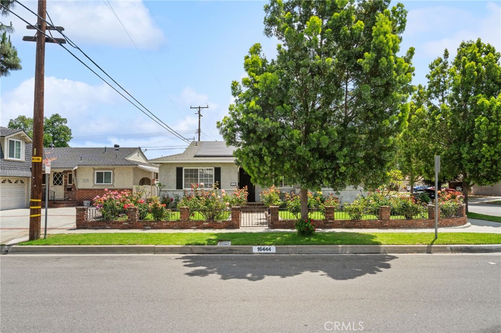 16444 Mcrae