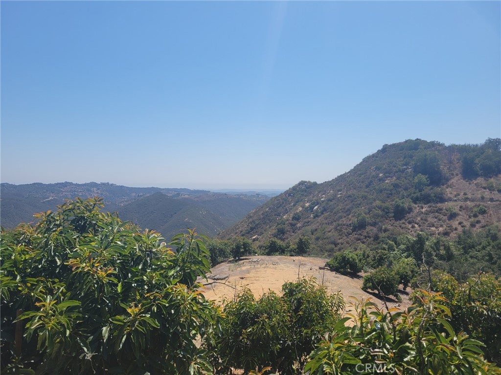 Amazing professionally managed avocado grove with stunning views, among multi-million dollar estates. The
trees are 6 to 8 years old and current tree count is approximately 1,200, with plenty of room to expand the grove. The property is in excellent condition, trees are healthy and producing and is professionally managed. This 10+ acre parcel has easy, direct access from the paved street,
a roughed in pad for an estate building site, with water meter, electricity, telephone and cable at the street and is front fenced and gated. This is one of the most beautiful
regions within De Luz with great soaring views, coastal breezes and proximity to the Santa Rosa Plateau Ecological Reserve. Elevation of the
property ranges from 1400 feet at the top (building site) down to 1100 feet at the southern boundary meaning no risk of frost for the income
producing avocado grove. De Luz is home to Cross Creek Golf Club, vineyards, and countless avocado and citrus groves; De Luz is only 5 minutes from Interstate 15 and Old Town Temecula. Production
records available upon request.