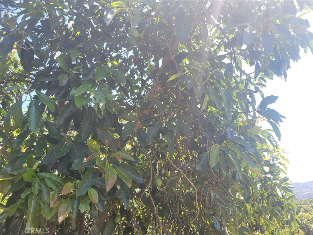 0 Los Gatos