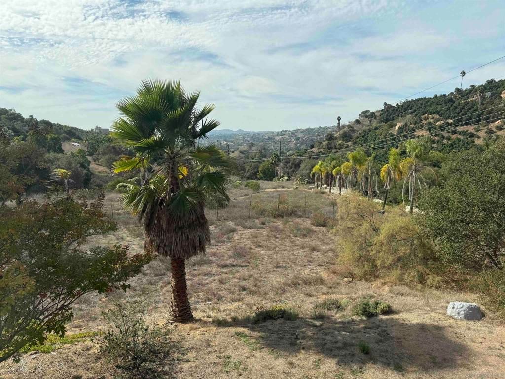 Photo of Fallbrook, CA 92028 (MLS # 250044698SD)