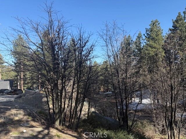 33263 Holcomb Creek