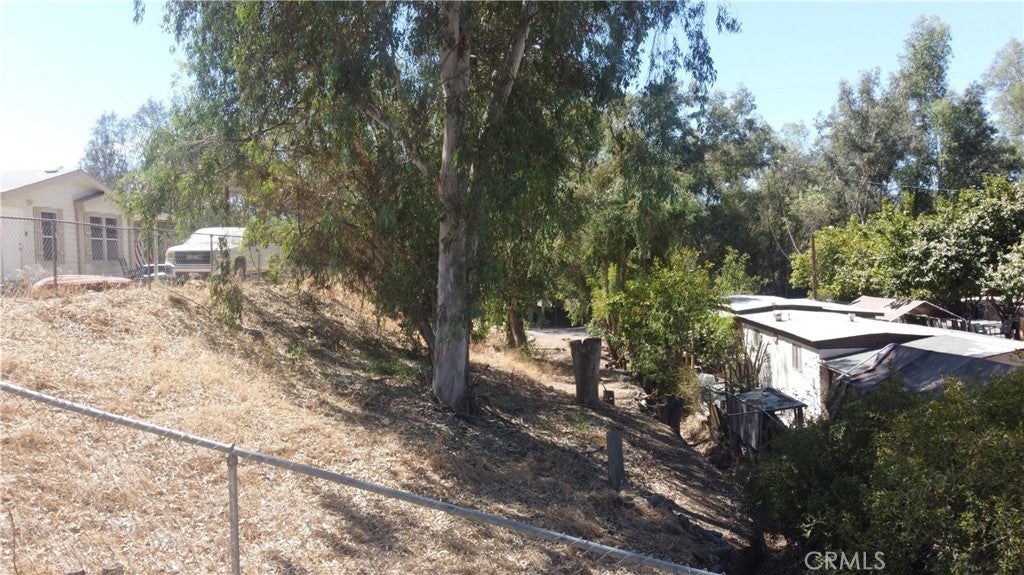 18290 Eucalyptus