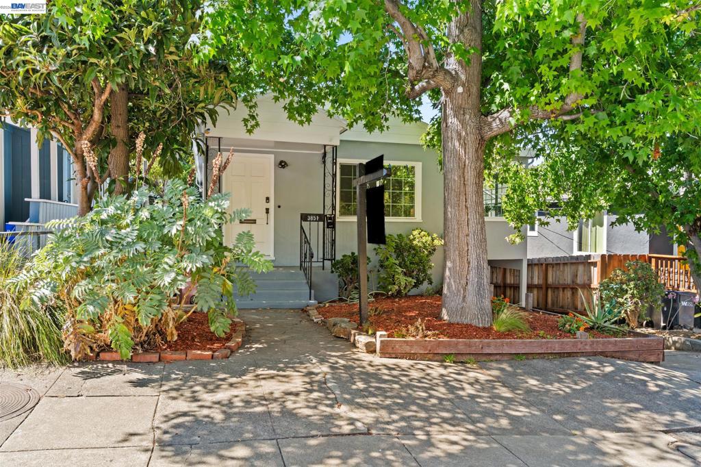 3851 Madrone Ave AVE