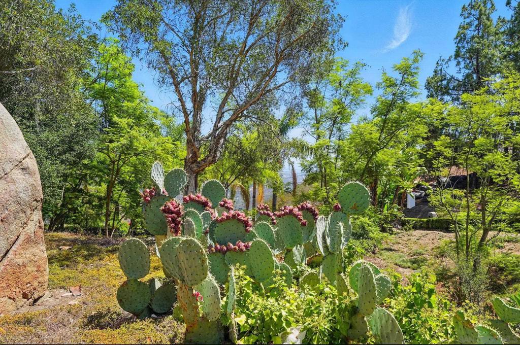 North Escondido - Residential