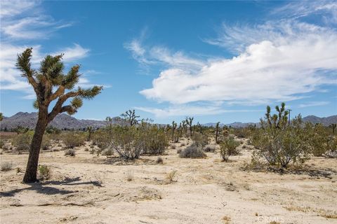 Photo of 6563 Saddleback Road, Joshua Tree, CA 92252 (MLS # CV26029934)