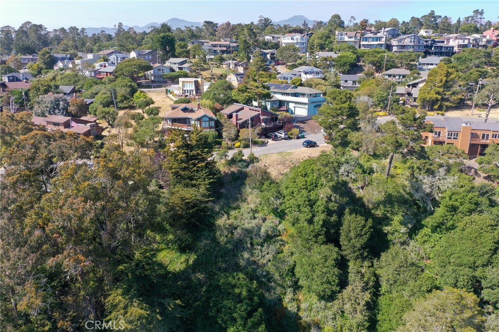 Positioned along a peaceful stretch of Happy Hill, these two adjacent parcels offer stunning ocean views across the pines and rooftops of Cambria. While currently without a water position and not buildable at this time, the land presents a rare chance to secure your spot in one of Cambria’s most desirable neighborhoods. Use it as a long-term hold, a way to protect existing views, or simply to enjoy a tangible piece of the Central Coast’s natural beauty. Sloped with a mix of native vegetation, these lots offer tranquility, sun exposure, and future potential.