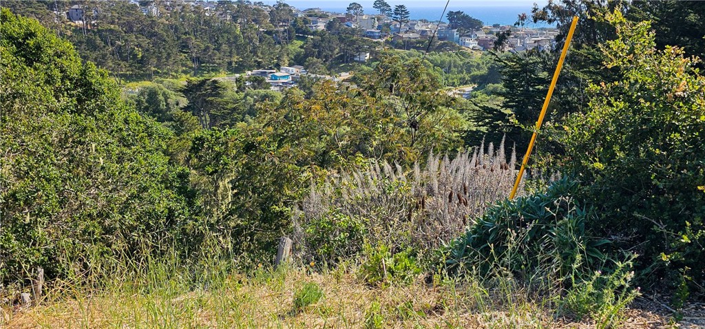 Happy Hill(410) - Land