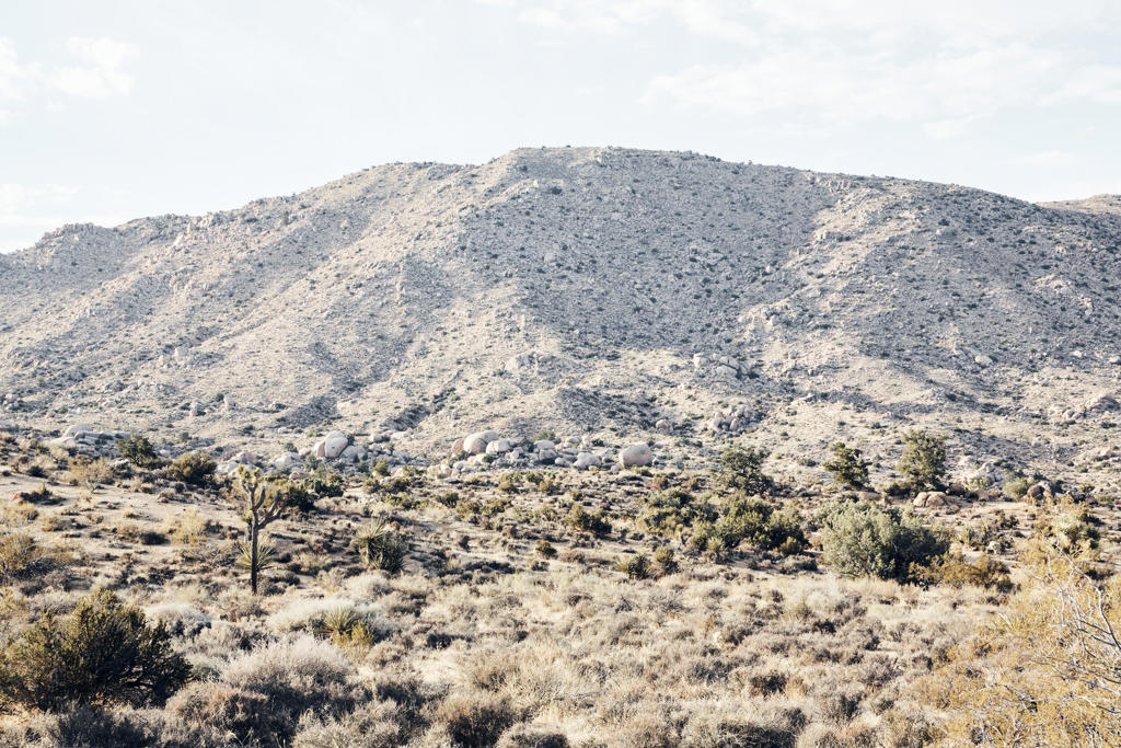 Own 2.5 acres of pristine desert in the heart of Pipes Canyon--renowned for its extraordinary beauty and one of the desert's most sought-after locales. Bordered by hundreds of acres of government land to the east and south, this property offers ultimate privacy and unobstructed 360-degree panoramic views.The land features incredible topography with rocks, rolling hills, and mature native vegetation. Enjoy breathtaking near views of the lush desert landscape and far-reaching vistas of distant mountains and expansive skies. This vibrant habitat teems with birds and wildlife, perfect for immersing yourself in nature's tranquility. Here, isolation is a luxury--experience peace and quiet with no immediate neighbors to disturb your solitude.Marvel at stunning sunsets and sunrises, and gaze upon the darkest night skies filled with stars. The area is a sanctuary and a canvas for inspiration, surrounded by nature reserves, unique architecture, and significant projects that define Pipes Canyon.Conveniently located just 15 minutes from Pioneertown Proper, Pappy & Harriet's, HWY 247, the Pioneertown Preserve, and the Sand to Snow National Monument, you enjoy both seclusion and access to the desert's most treasured destinations. Access is via an easement across government land, ensuring your retreat remains connected yet exclusive.Parcel outline on photos is approximate. Buyer responsible for their own due diligence.