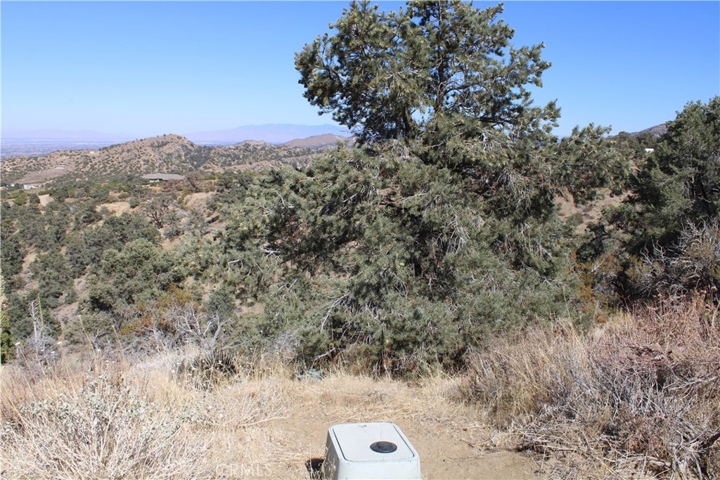Own your own piece of land in this well hidden area in Pinon Hills. With a little over an acre of land, you can build the home you've always wanted. This land already has a water meter and electric is close. You'll be able to enjoy your morining coffee with a gorgeous view from anyhwere on this property.