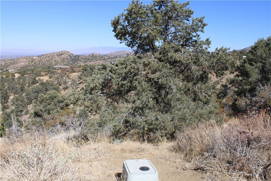 Own your own piece of land in this well hidden area in Pinon Hills. With a little over an acre of land, you can build the home you've always wanted. This land already has a water meter and electric is close. You'll be able to enjoy your morining coffee with a gorgeous view from anyhwere on this property.