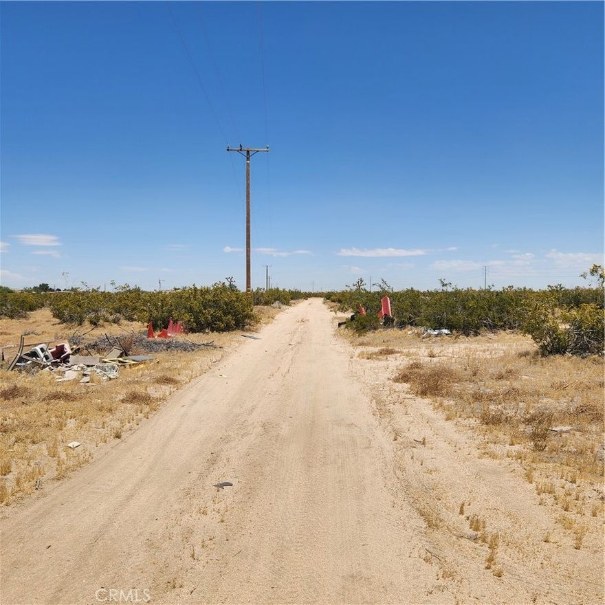 10 acres of undeveloped rural land located near HWY 395. Large electrical poles are at the street frontage. Nearby homes use the following utilities septic, water well, propane tank and connected to the local electrical co. This lot is located between Aster Rd & Rhode Island St, road access on both sides. Located 5-7 minutes from the police department, convenience stores & other amenities. Located near off roading trails and El Mirage Dry Lake OHV. No utilities on site, buyer to connect. No fencing. No street address, address used in MLS is for marketing purposes only. Buyer to verify boundaries, zoning and use of land. APN# 0460-271-19 the lot next door (10 acres) is available for sale. GPS 34.626436N, -117.431695W -- CASH ONLY