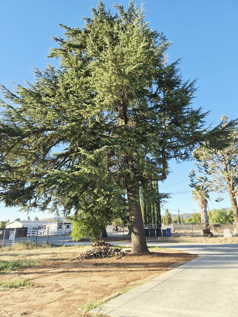 Not Applicable-1 - Residential