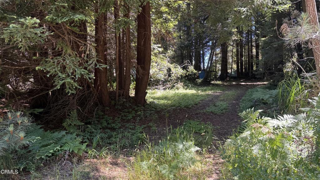 Redwoods abound on this one acre buildable parcel with well already in. Parcel has been approved for an aerobic septic system with design done by Rittiman and Associates. Out of the coastal zone and ready for you to build your dream.