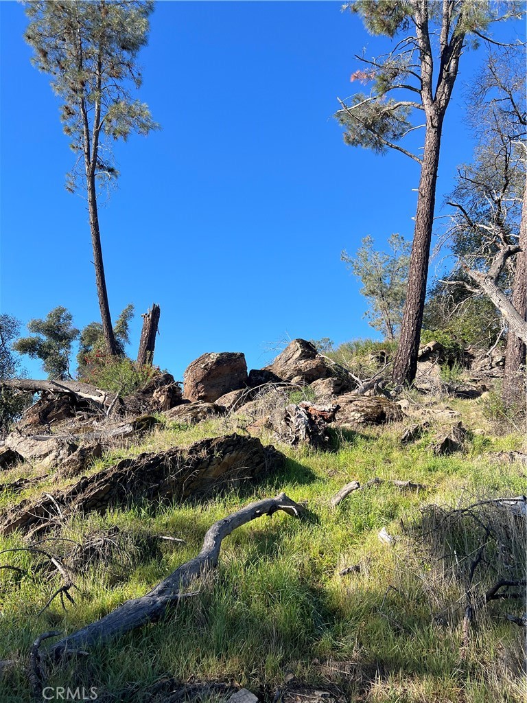 20393 Powder Horn Road