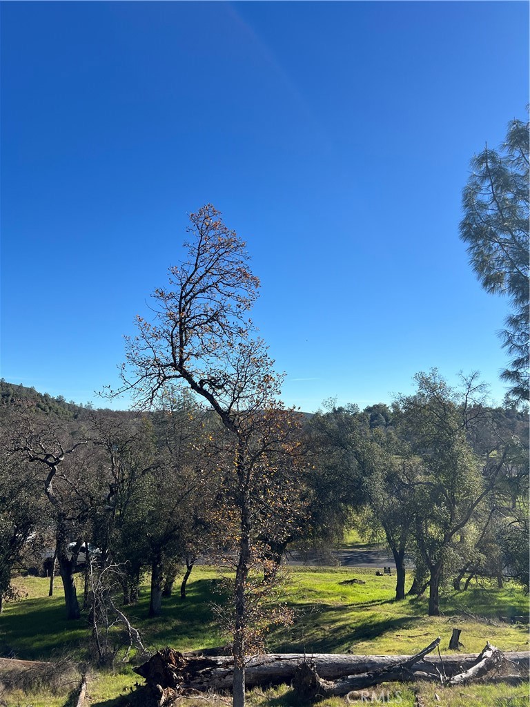 20393 Powder Horn Road