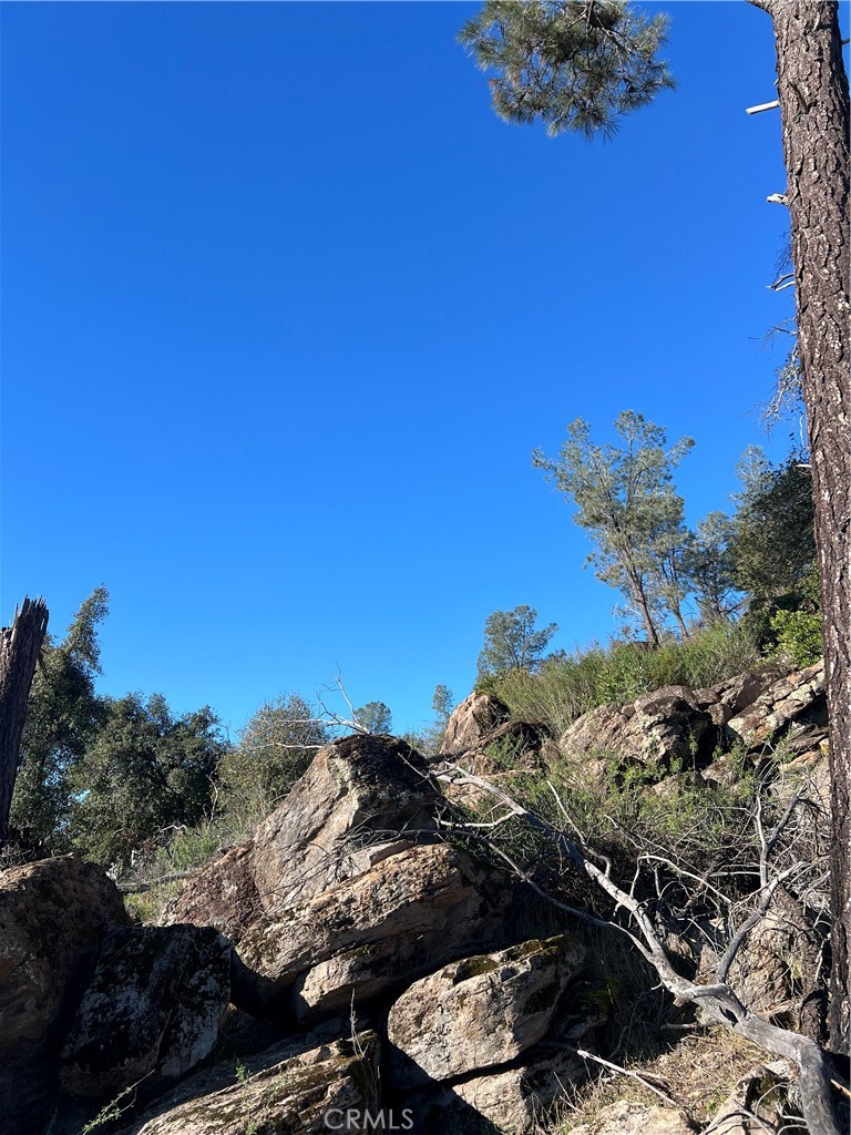 20393 Powder Horn Road