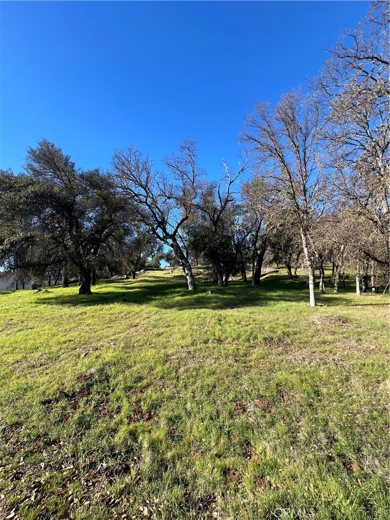 20393 Powder Horn Road