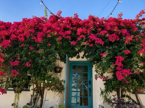 Photo of 3827 Madison Ave, San Diego, CA 92116 (MLS # 260020081SD)