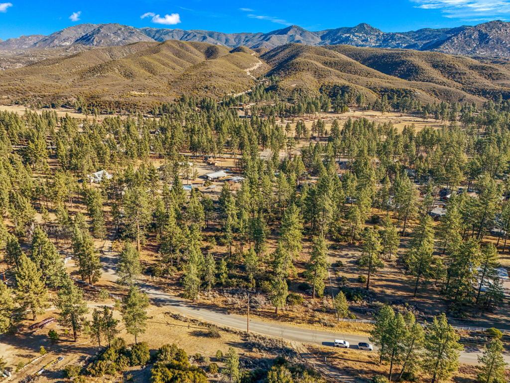 Welcome to the hidden gem of Garner Valley! This beautiful lot, nestled on a cul-de-sac, offers mostly flat land that's ready for building, surrounded by stunning mature pine trees. Imagine the endless possibilities for your dream home in this serene setting. It's the ideal blend of nature's charm and relaxed mountain living. Your slice of paradise is waiting! Garner Valley HOA offers 26 miles of private horse riding trails, a arena and common building where fun community events are held (Pictures shown on listing are of the common area).