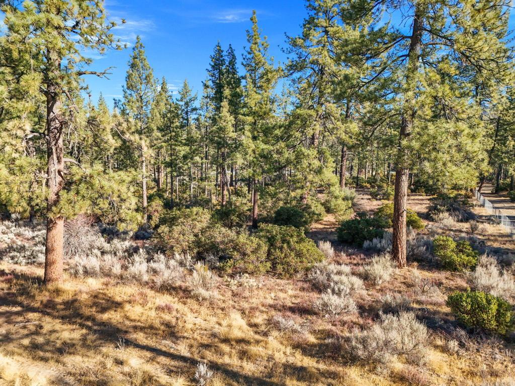 Garner Valley - Land