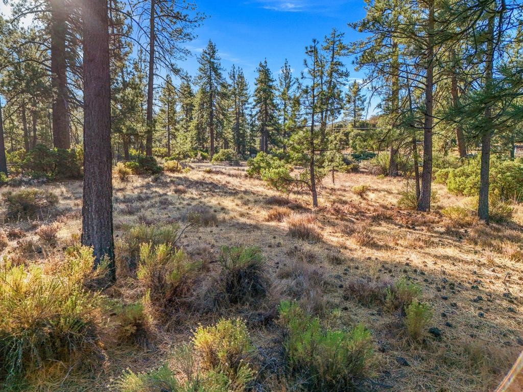 Garner Valley - Land