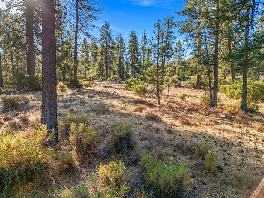 Welcome to the hidden gem of Garner Valley! This beautiful lot, nestled on a cul-de-sac, offers mostly flat land that's ready for building, surrounded by stunning mature pine trees. Imagine the endless possibilities for your dream home in this serene setting. It's the ideal blend of nature's charm and relaxed mountain living. Your slice of paradise is waiting! Garner Valley HOA offers 26 miles of private horse riding trails, a arena and common building where fun community events are held (Pictures shown on listing are of the common area).