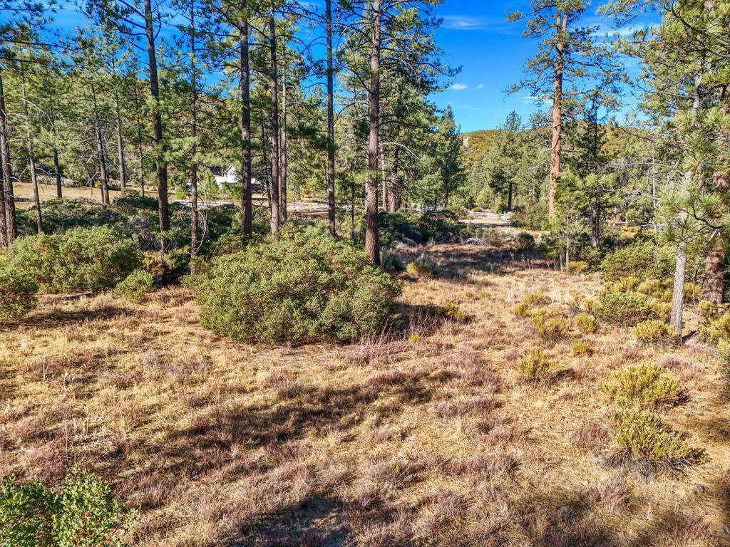 Garner Valley - Land