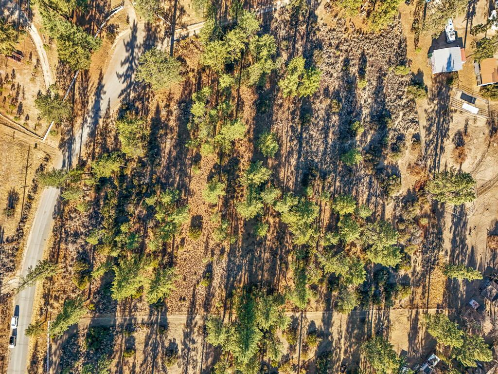 Garner Valley - Land