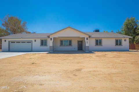 Photo of 9860 E Avenue S-8, Littlerock, CA 93543 (MLS # P1-23606)