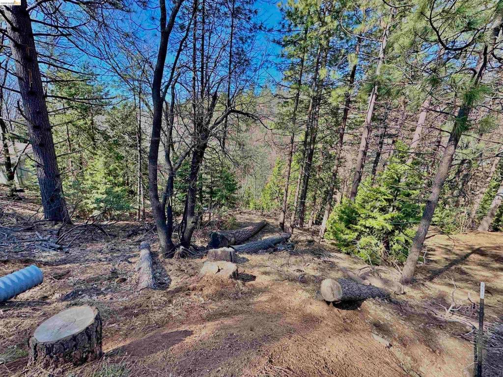 23956 Stable Rd