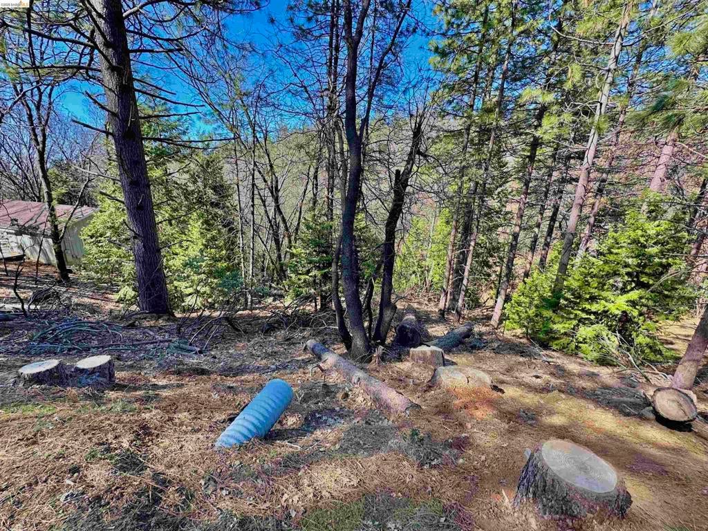 23956 Stable Rd