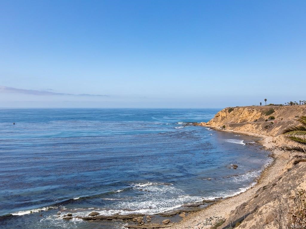 VIEWS VIEWS VIEWS. Unbelievable opportunity to lease this unit that offers a panoramic view of the ocean, Catalina, and coastal whitewater. This large, fully furnished 1 bedroom apartment has soaring ceilings, big picture windows and open floorplan to let in all of the natural light. The apartment is the top unit of this 1920s Spanish style home located on the bluff. The unit has access to a shared yard but its own private stairway to the front door. Conveniently located near the freeway, public beaches and hiking trails.