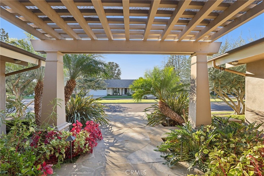 14242 Acacia