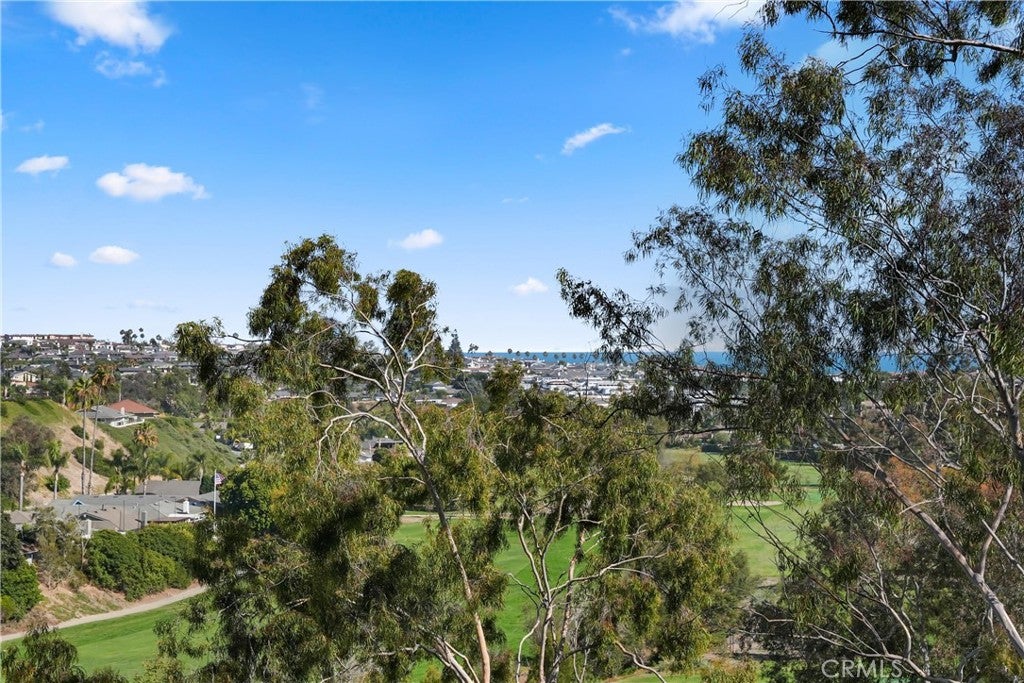 3114 Calle Grande Vista