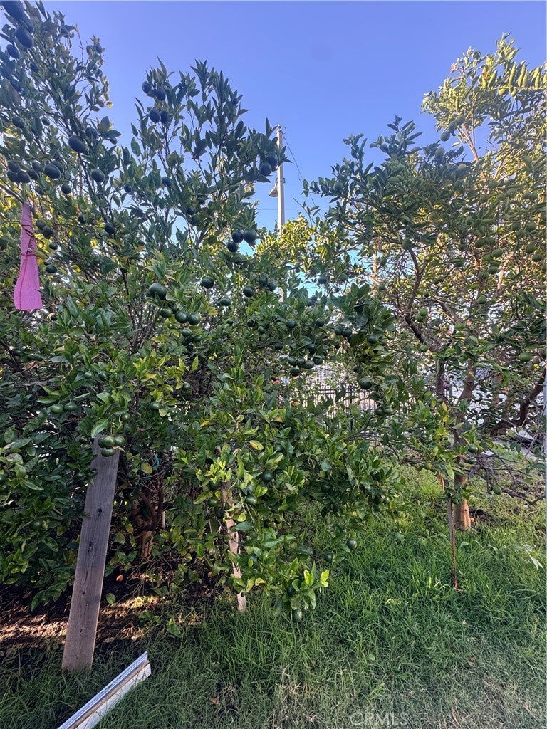 3612 W 113th