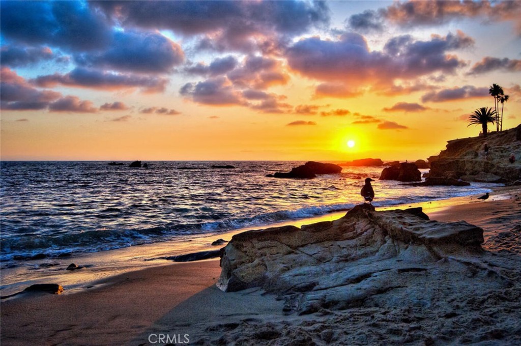 North Laguna (NL) - Residential Lease