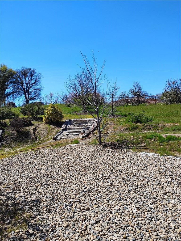 35371 Spanish Oak