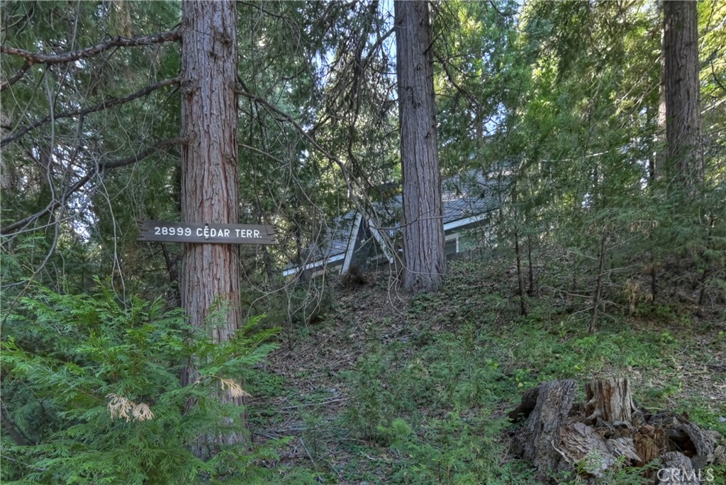 28999 Cedar Terrace