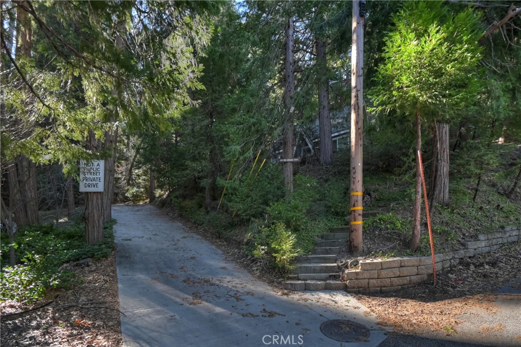 28999 Cedar Terrace