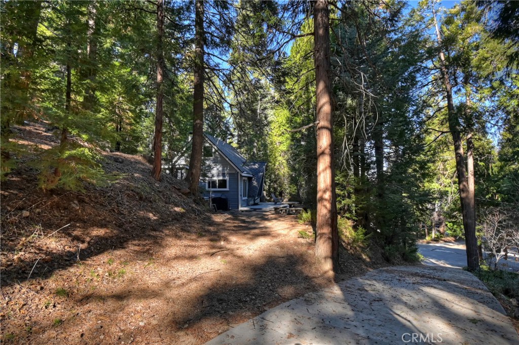 28999 Cedar Terrace