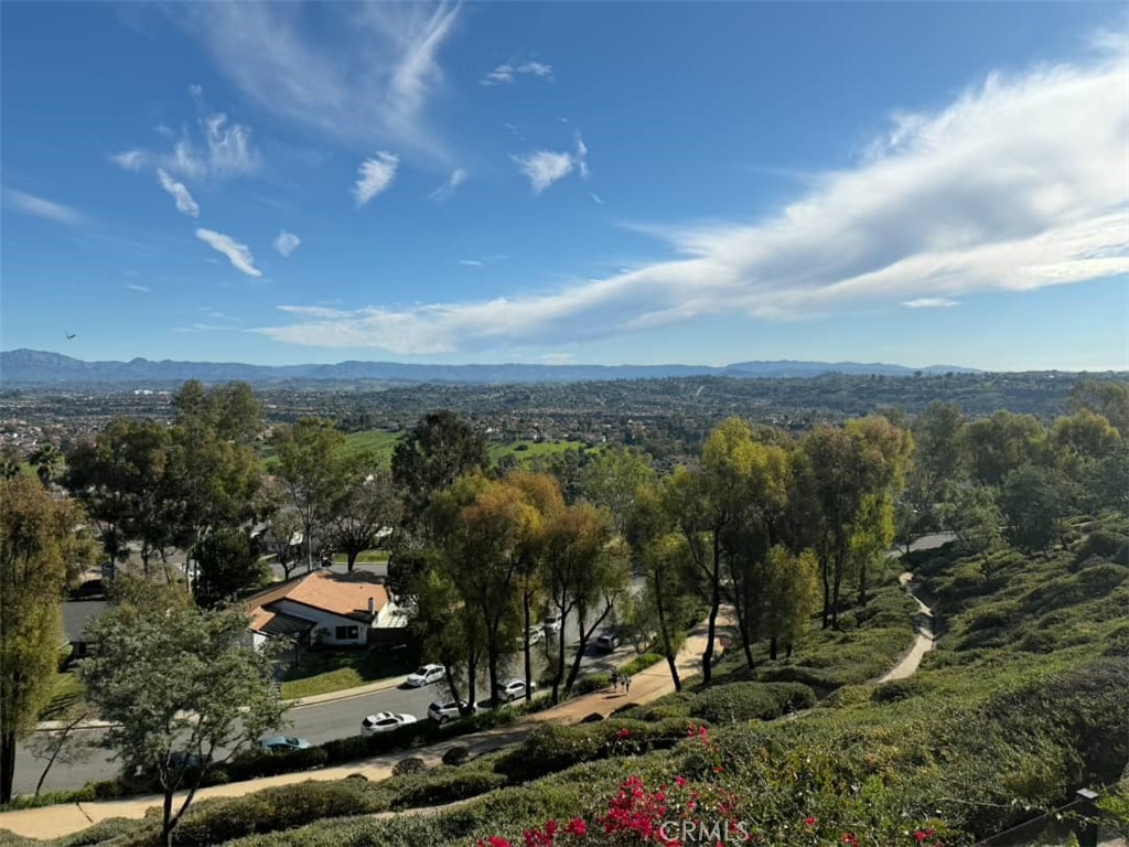 29282 Elba Dr