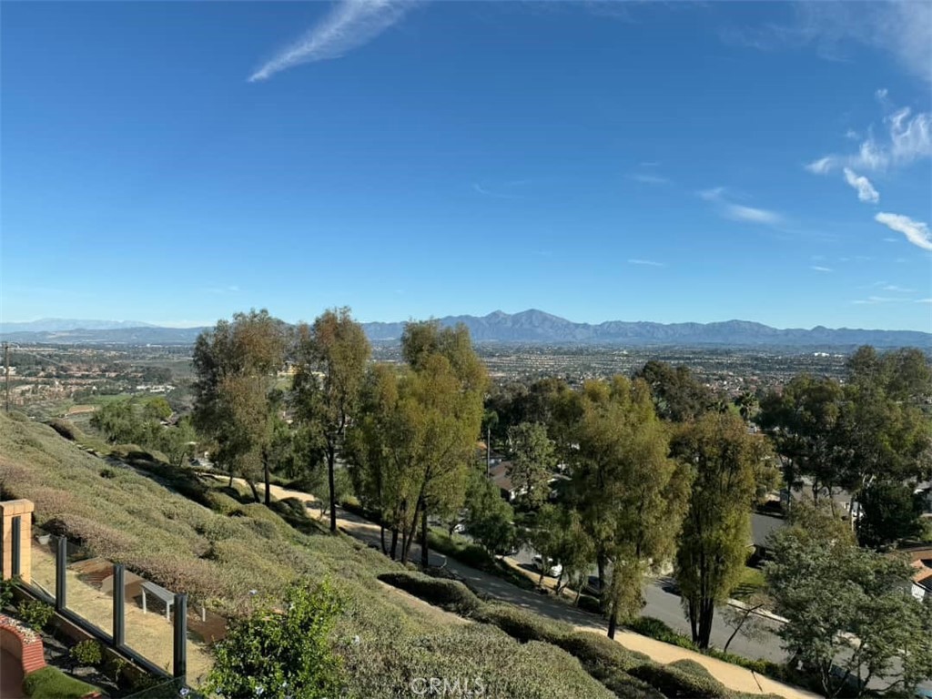 29282 Elba Dr