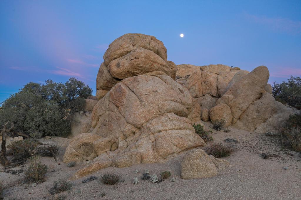 6385 Paseo Los Ninos